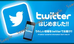 SNS-Twitter